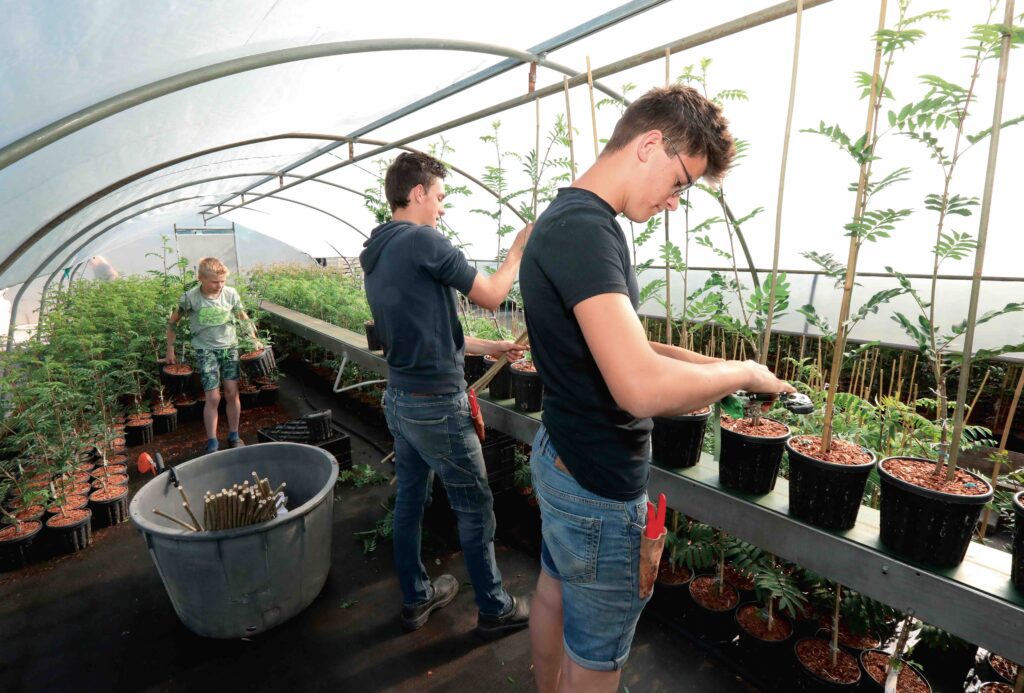 De Boomkwekerij Editie 13 Flowertrials Steeds Meer Een Sierteeltbreed 